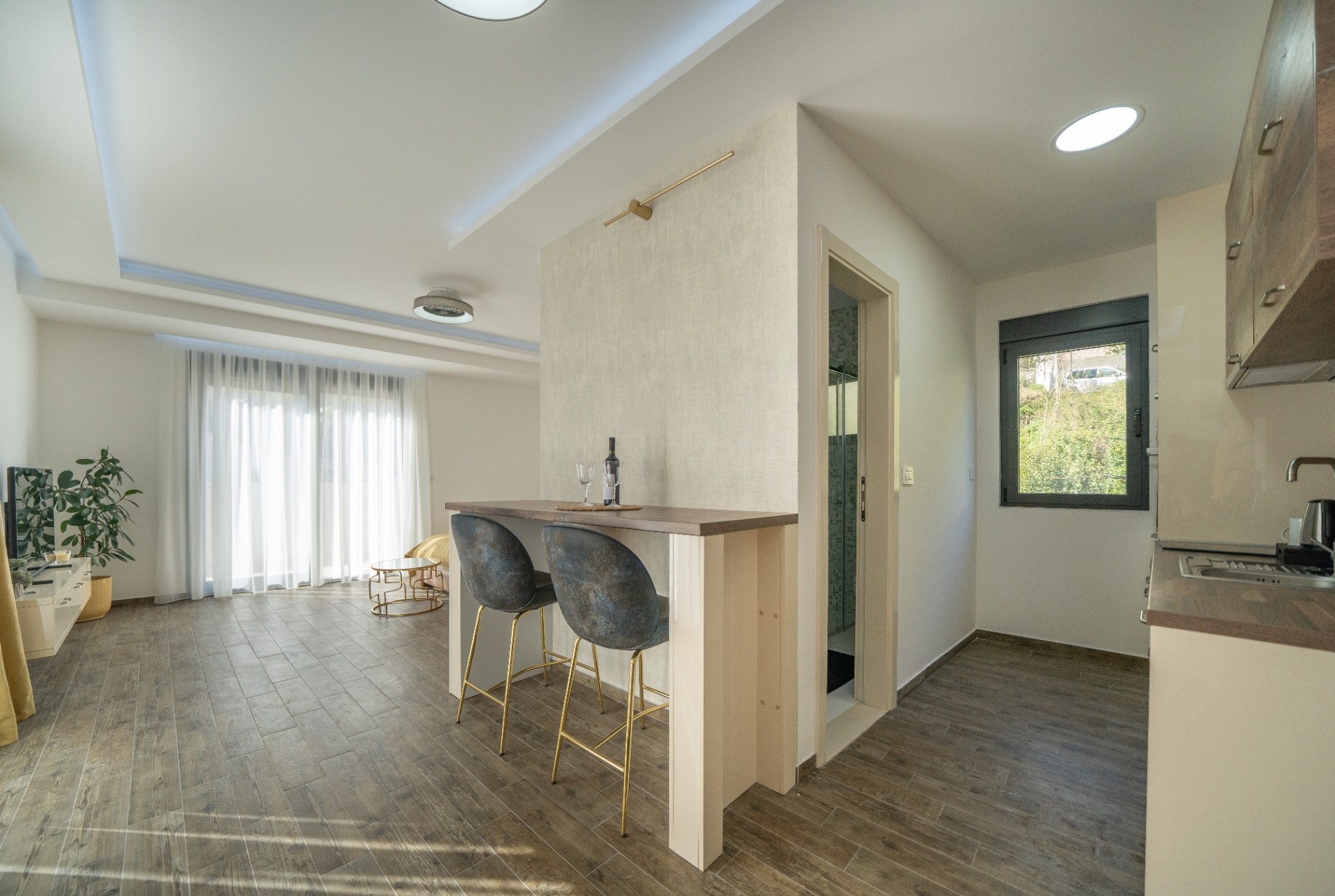 Studio with Terrace photo 6